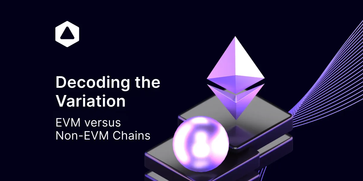 Decoding the Variation: EVM versus Non-EVM Chains