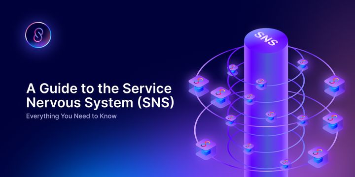 A Guide to the Service  Nervous System (SNS) on the Internet Computer
