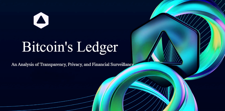 Bitcoin's Ledger: An Analysis of Transparency, Privacy, and Financial Surveillance